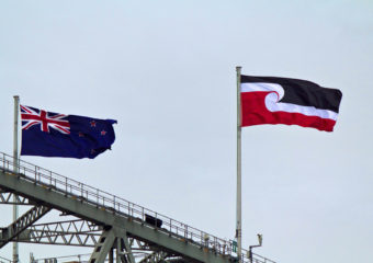 New Zealand's flag flies on top of Auckland's harbour bridge alongside the Tino Rangatiratanga flag.