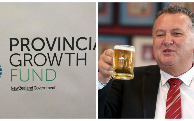 The Provincial Growth Fund logo and Shane Jones