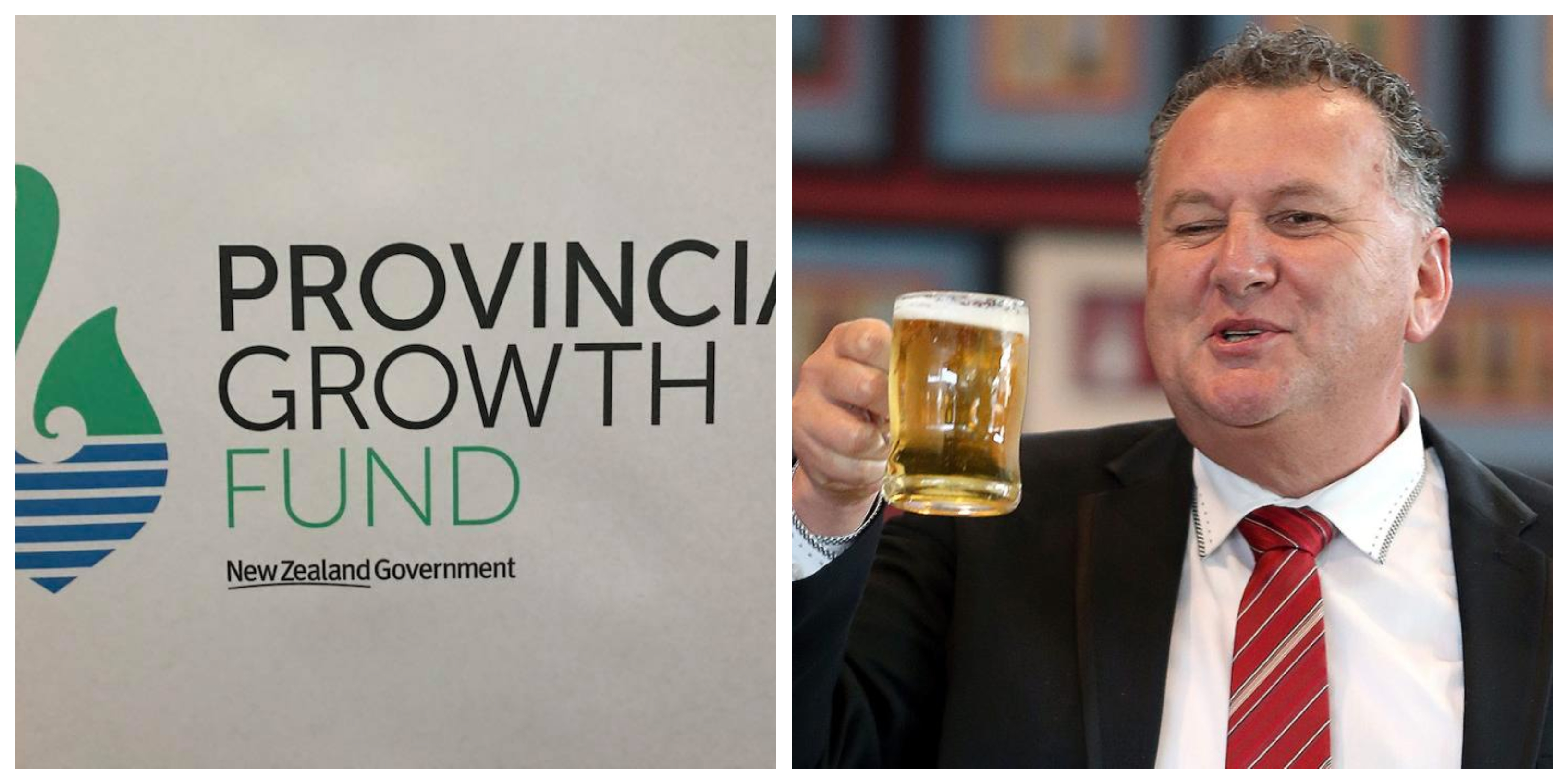 The Provincial Growth Fund logo and Shane Jones
