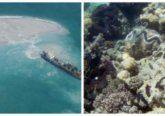China artificial islands in Spratlys and Philippine giant clams