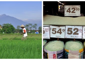 Collage of a rice farmer toiling in the field (photo from pixabay.com) and of Philippine rice traders' selling price (Photo from Reuters)