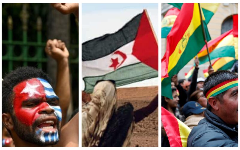international human rights day 2019 collage