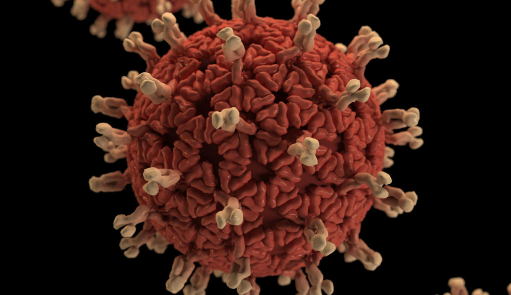 Coronavirus new zealand