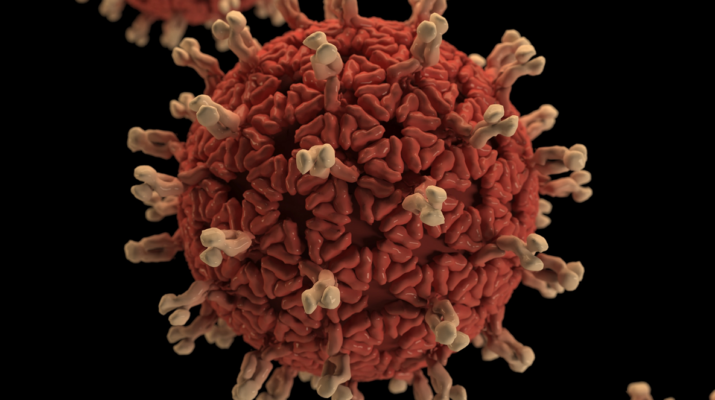 Coronavirus new zealand