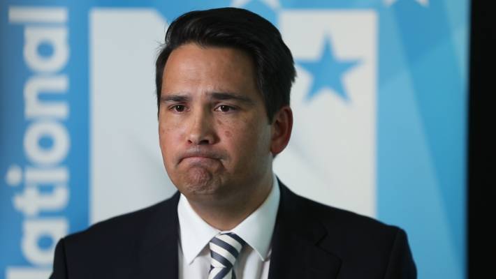 Simon Bridges sad National Party New Zealand