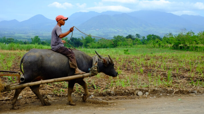 Philippine farmer Shutterstock photo