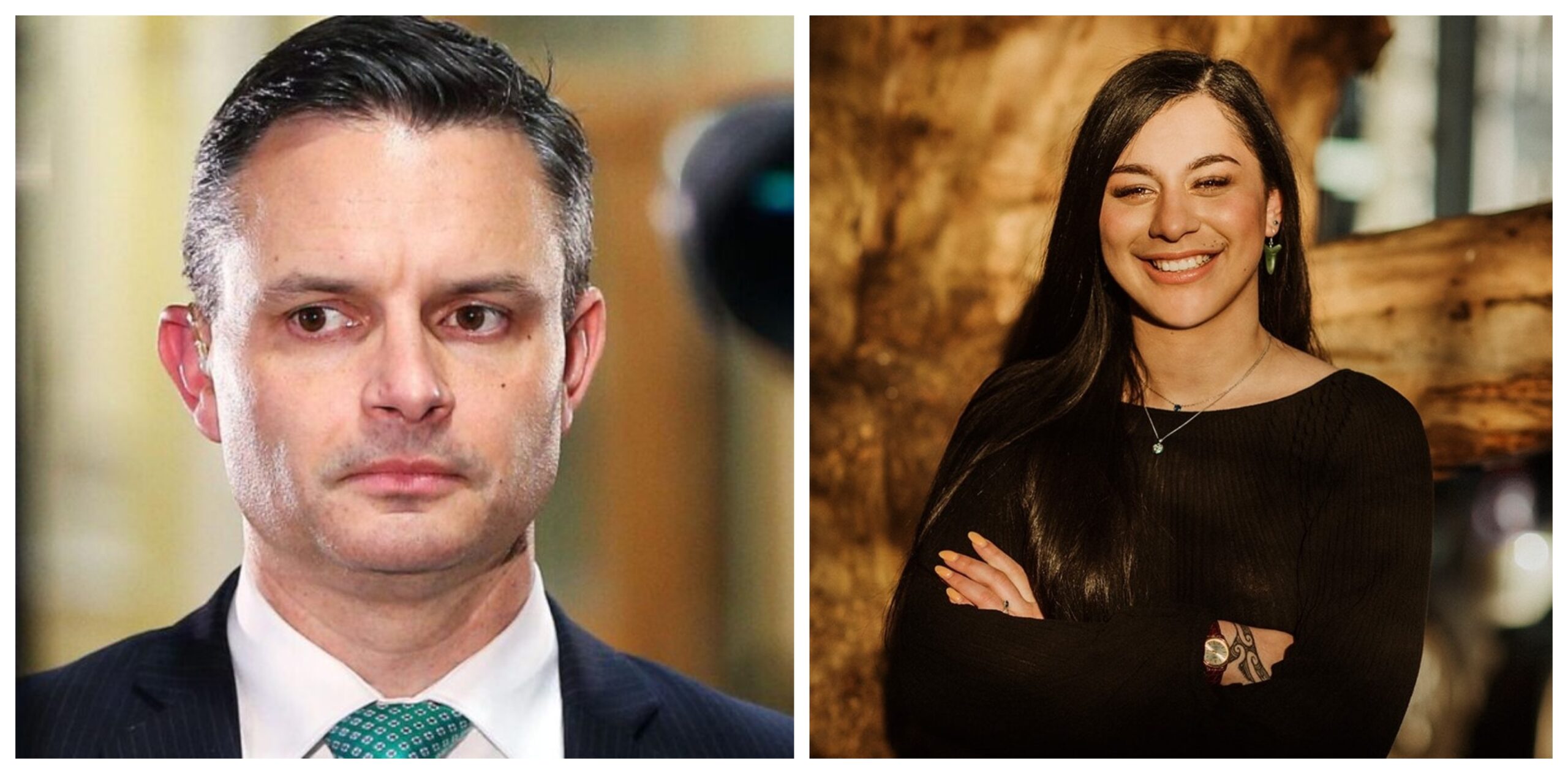 James Shaw Tamathan Paul Wellington Central Election 2023